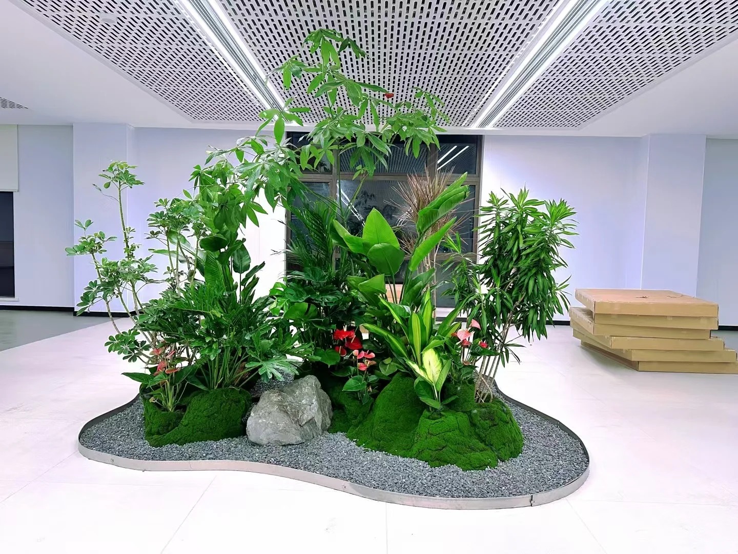 了解镇海花木租摆价格，看这一篇就够了！